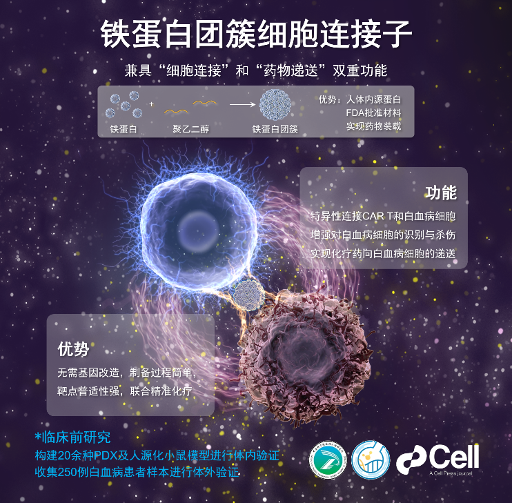【科研进展】实验室创新仿生策略助力CAR T细胞治疗白血病